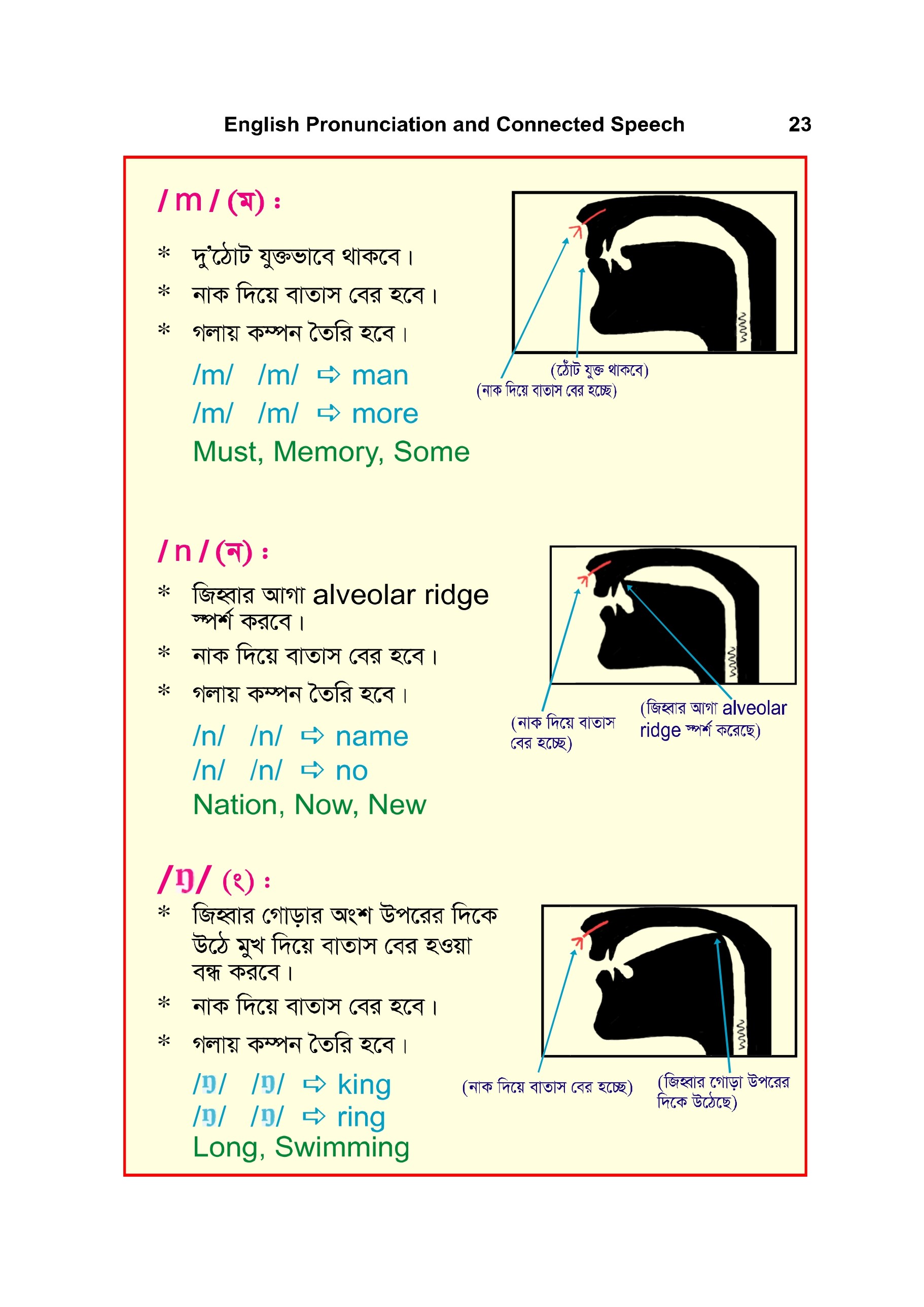 Book Pages